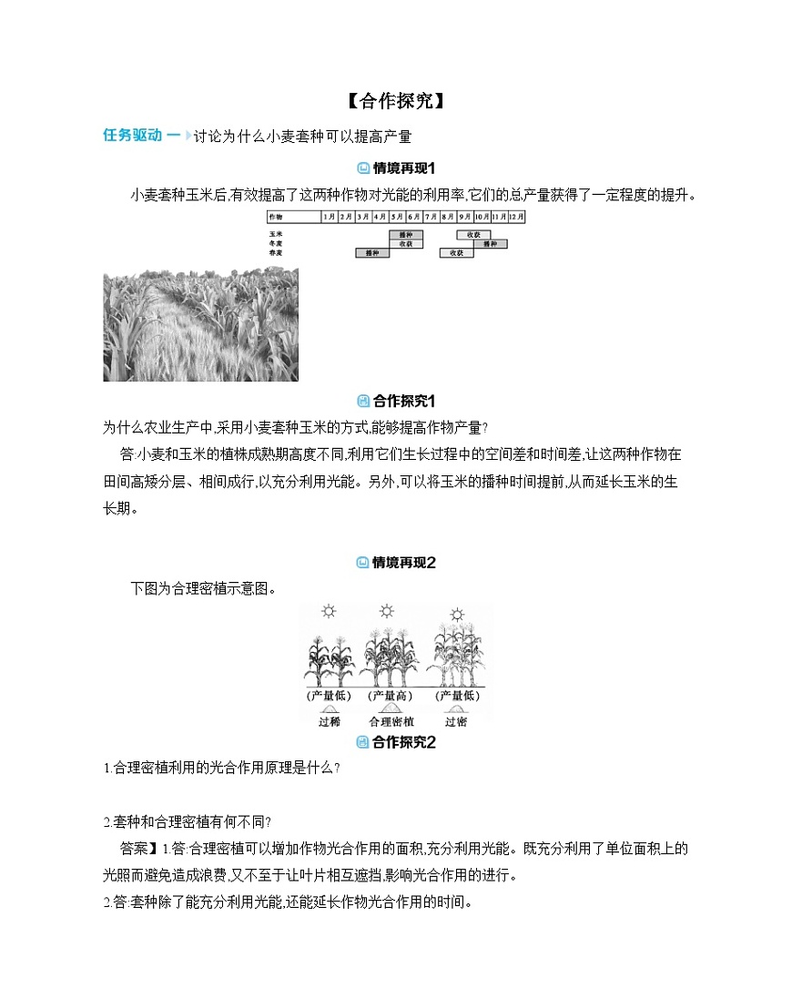 4.11.3 光合作用和呼吸作用原理的应用 导学案（含答案） 苏教版初中生物七年级下册第3页