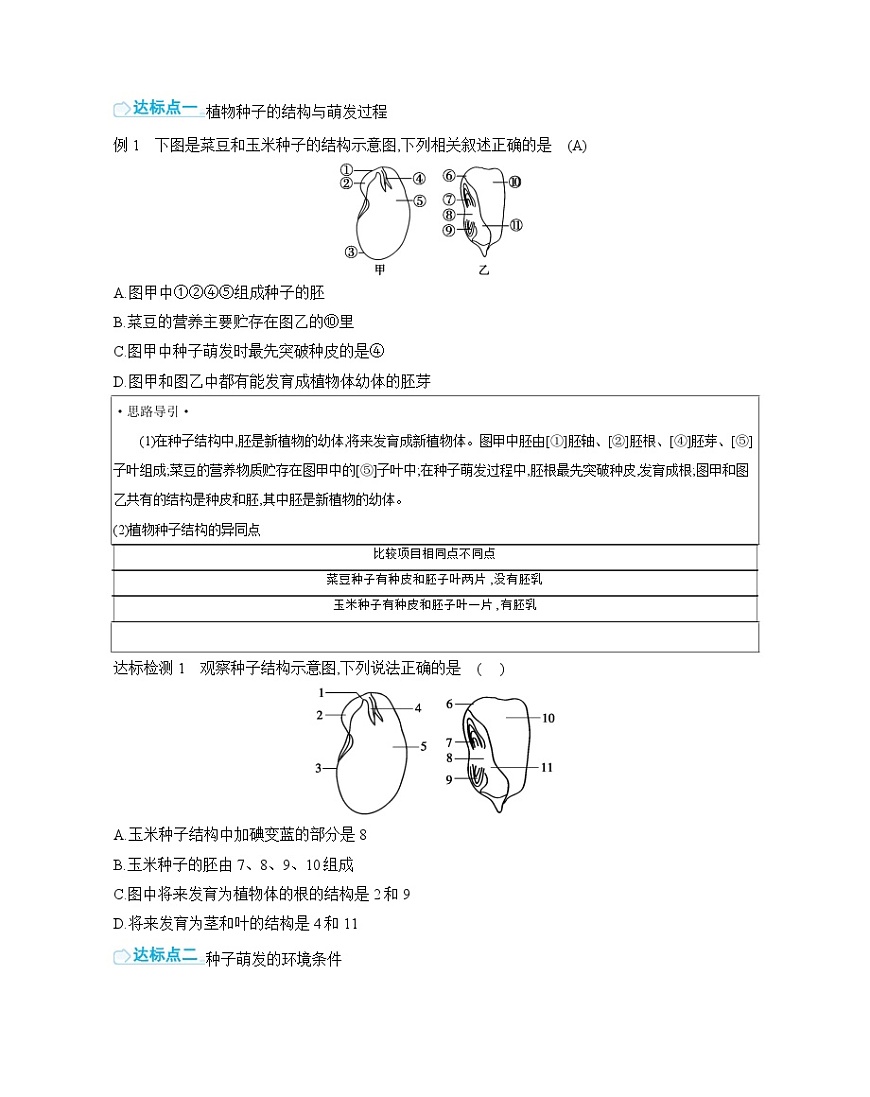 第4单元 复习课 导学案（含答案） 苏教版初中生物七年级下册第2页