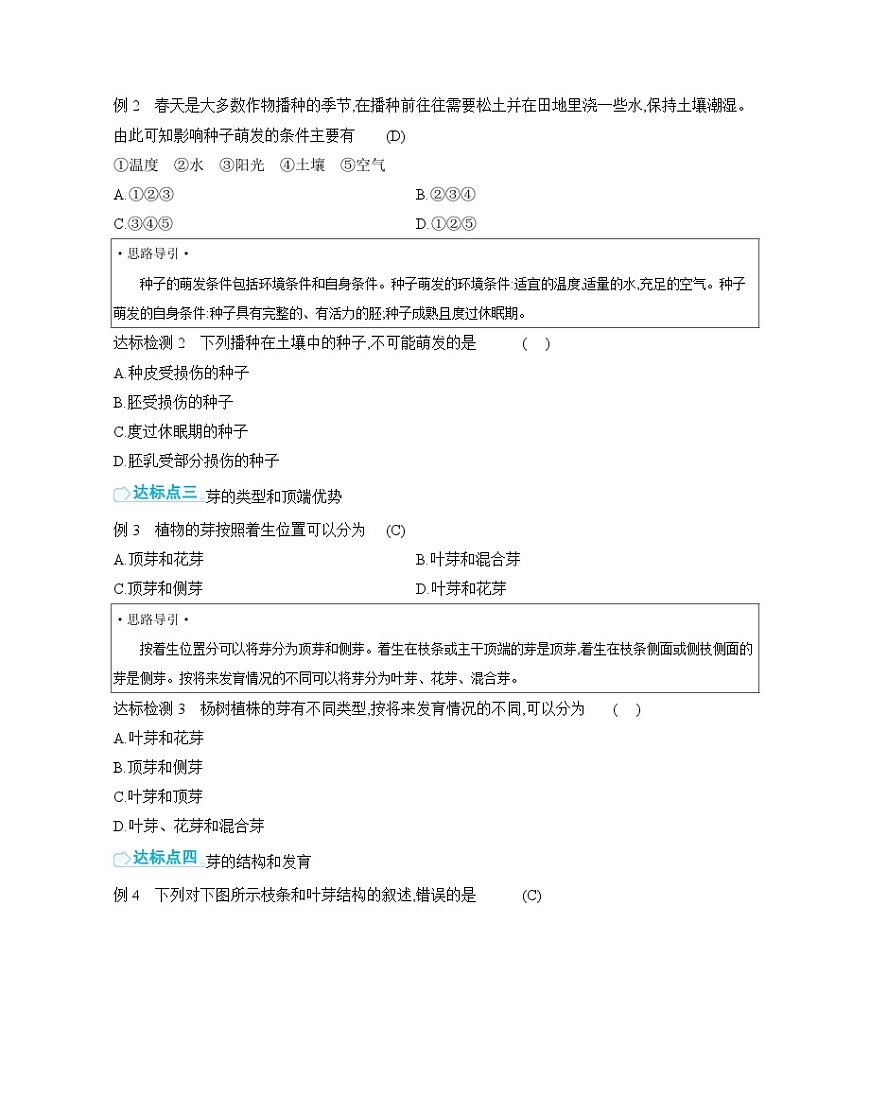 第4单元 复习课 导学案（含答案） 苏教版初中生物七年级下册第3页