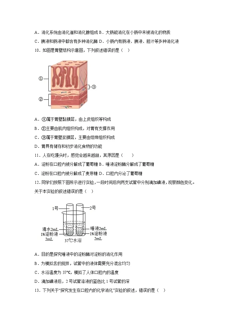 北师大版初中生物七下 4.6.2.1食物的消化和营养物质的吸收（第一课时） 分层作业（含答案）第3页