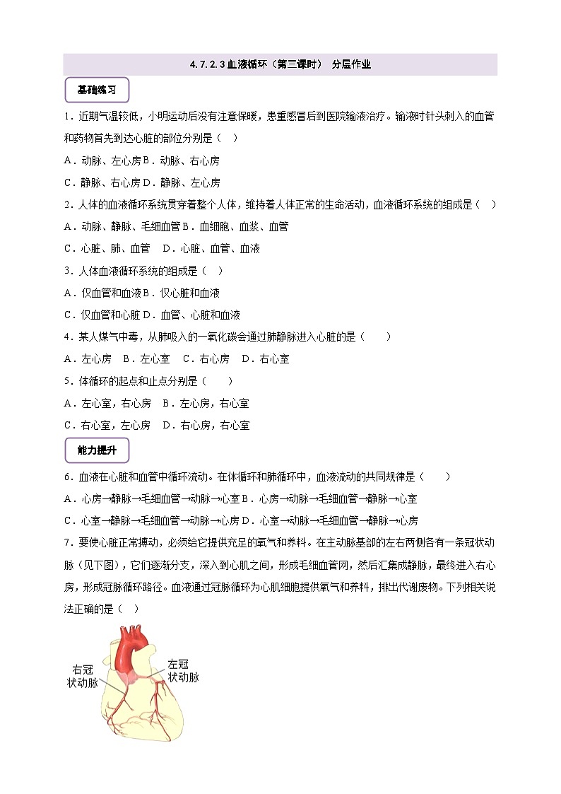 北师大版初中生物七下 4.7.2.3血液循环（第三课时） 分层作业（含答案）第1页