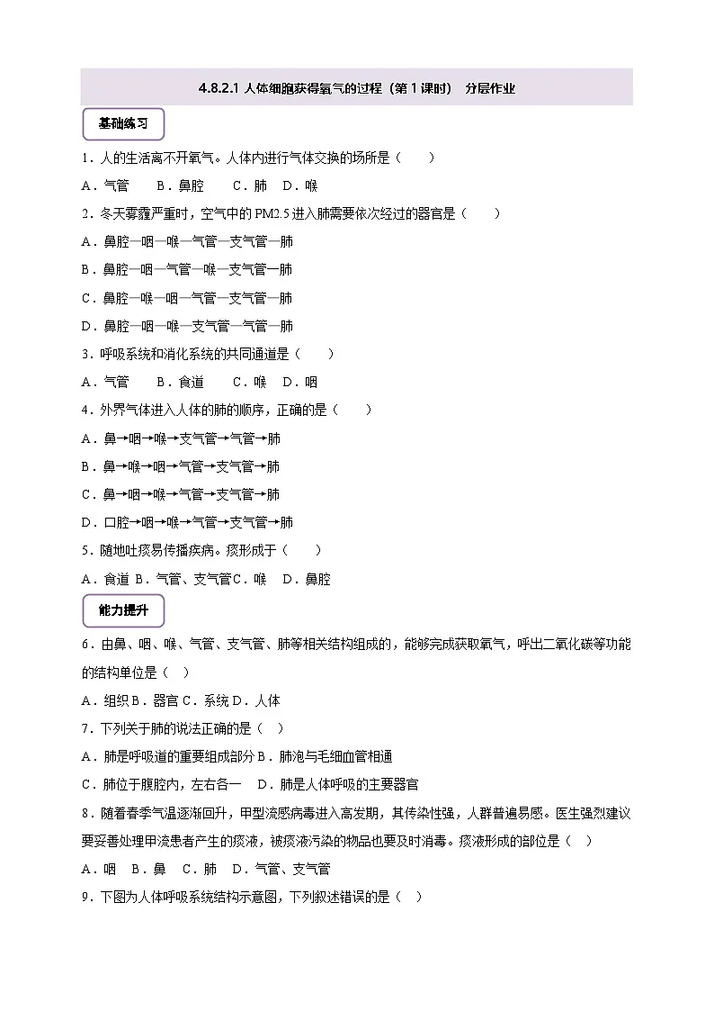 北师大版初中生物七下 4.8.2.1人体细胞获得氧气的过程（第1课时） 分层作业（含答案）第1页