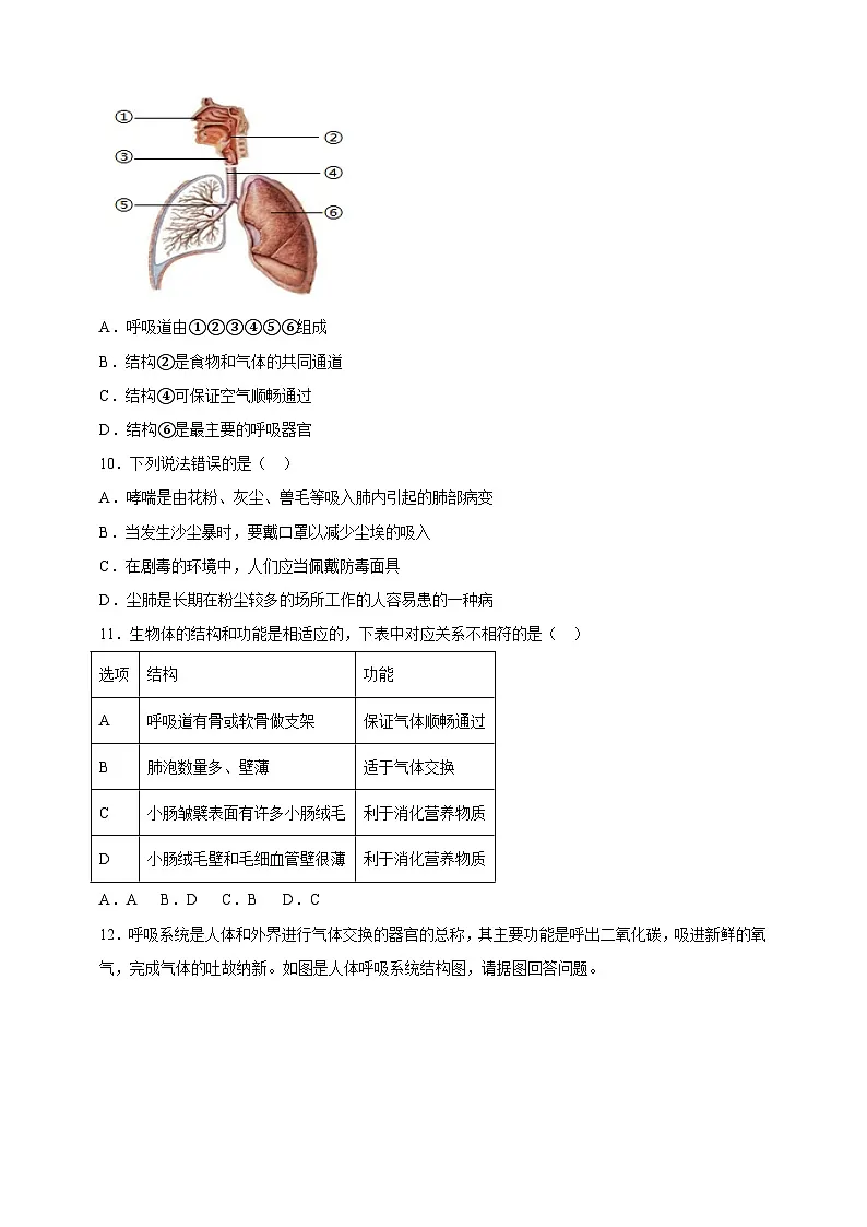 北师大版初中生物七下 4.8.2.1人体细胞获得氧气的过程（第1课时） 分层作业（含答案）第2页