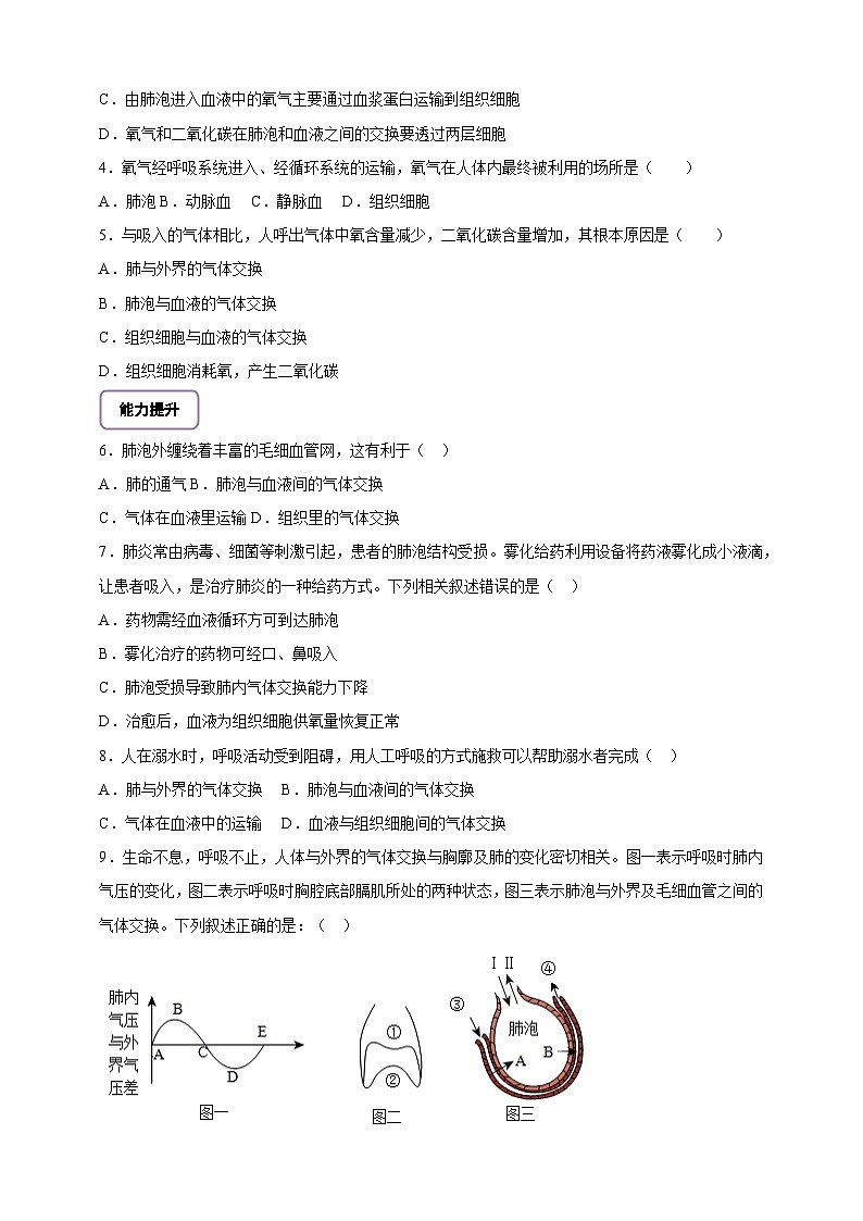 北师大版初中生物七下 4.8.2.3人体细胞获得氧气的过程（第3课时） 分层作业（含答案）第2页