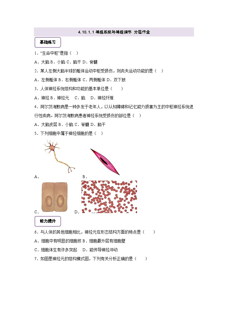 北师大版初中生物七下 4.10.1.1神经系统与神经调节（第一课时） 分层作业（含答案）第1页