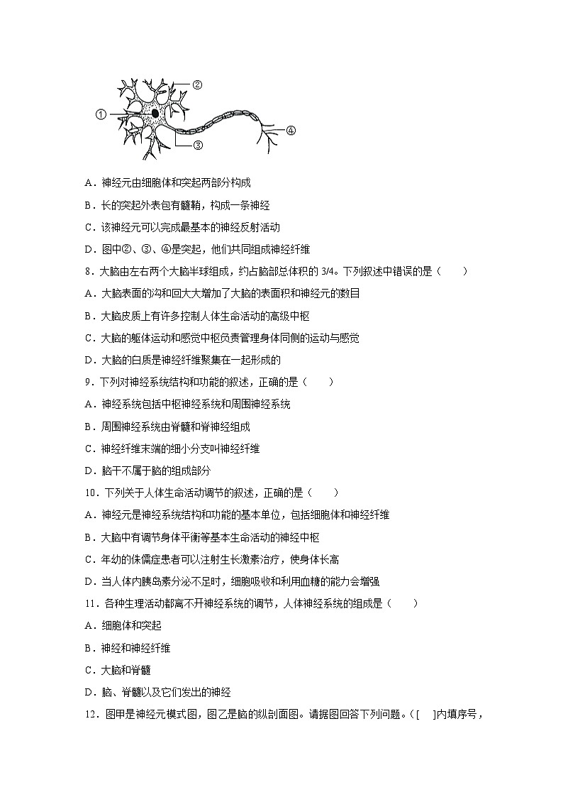 北师大版初中生物七下 4.10.1.1神经系统与神经调节（第一课时） 分层作业（含答案）第2页