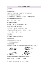 初中生物北师大版(2024)七年级下册(2024)人体的骨骼肌精品综合训练题