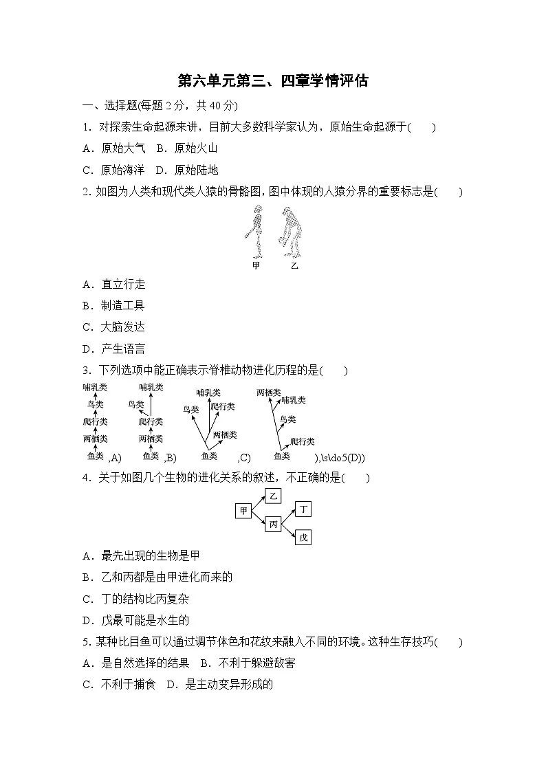 6.3生物的进化、6.4生物多样性及其保护 学情评估试卷（含答案）2025-2026学年人教版生物八年级下册第1页