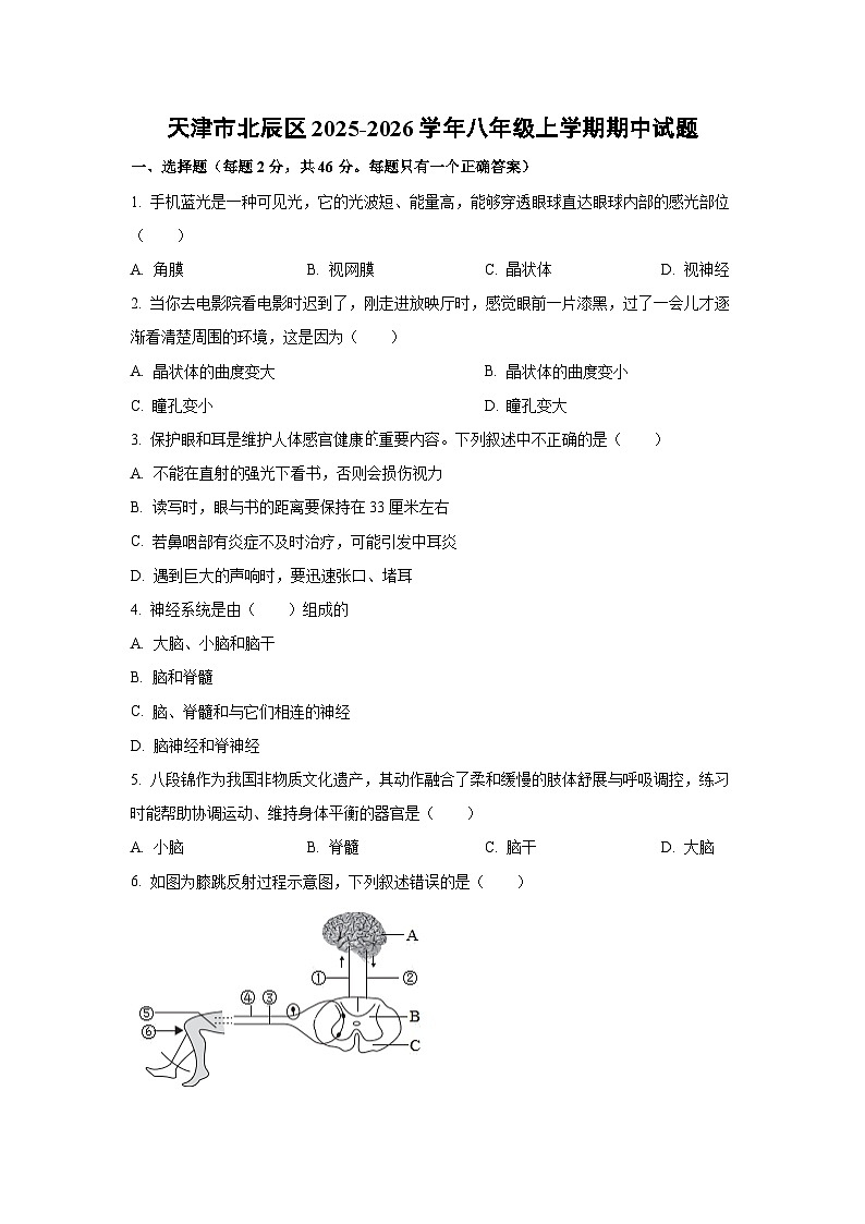 天津市北辰区2025-2026学年八年级上学期期中生物试题（学生版）第1页