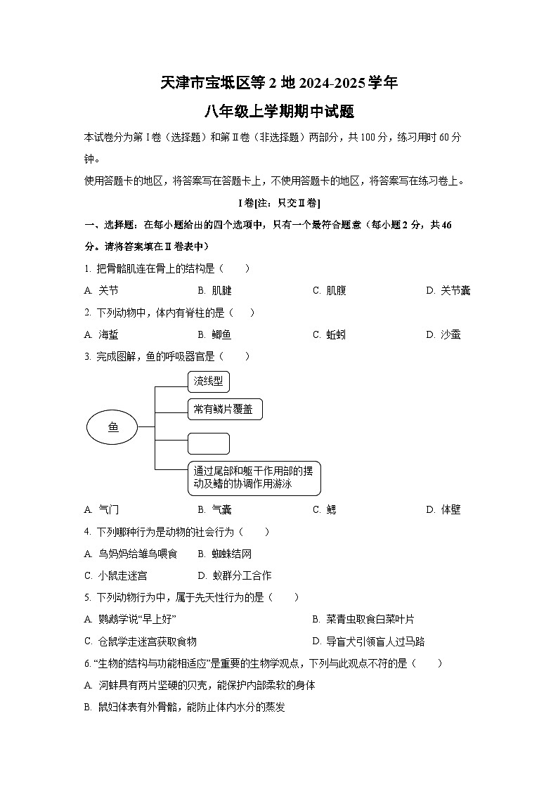 天津市宝坻区等2地2024-2025学年八年级上学期期中生物试题（学生版）第1页