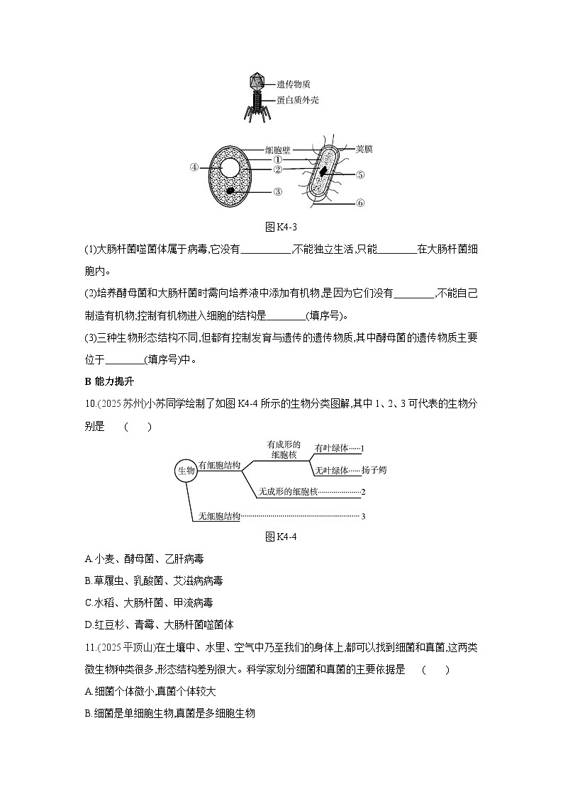 2026年福建省中考生物学一轮复习专题练习：微生物及生物多样性第3页
