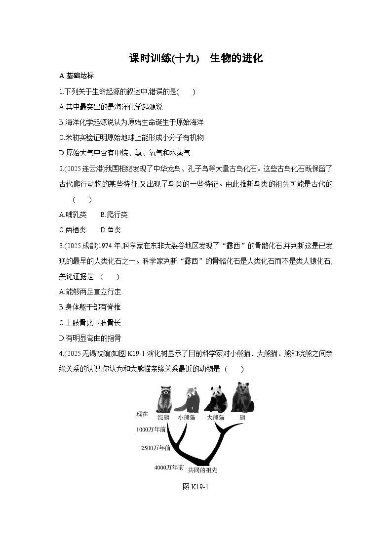 2026年福建省中考生物学一轮复习专题练习：生物的进化第1页