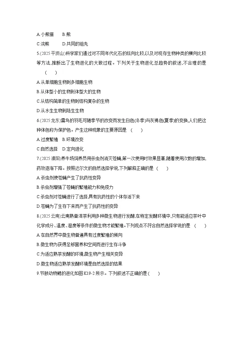 2026年福建省中考生物学一轮复习专题练习：生物的进化第2页