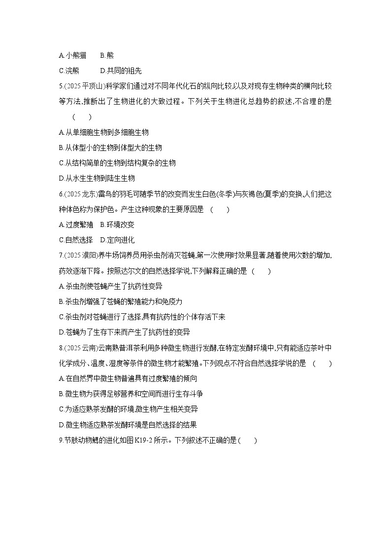 2026年福建省中考生物学一轮复习专题练习：生物的进化第2页