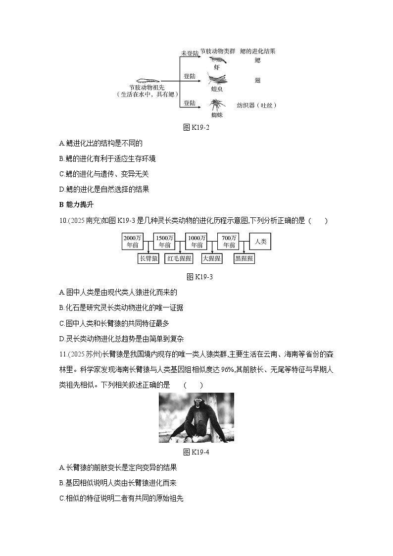 2026年福建省中考生物学一轮复习专题练习：生物的进化第3页