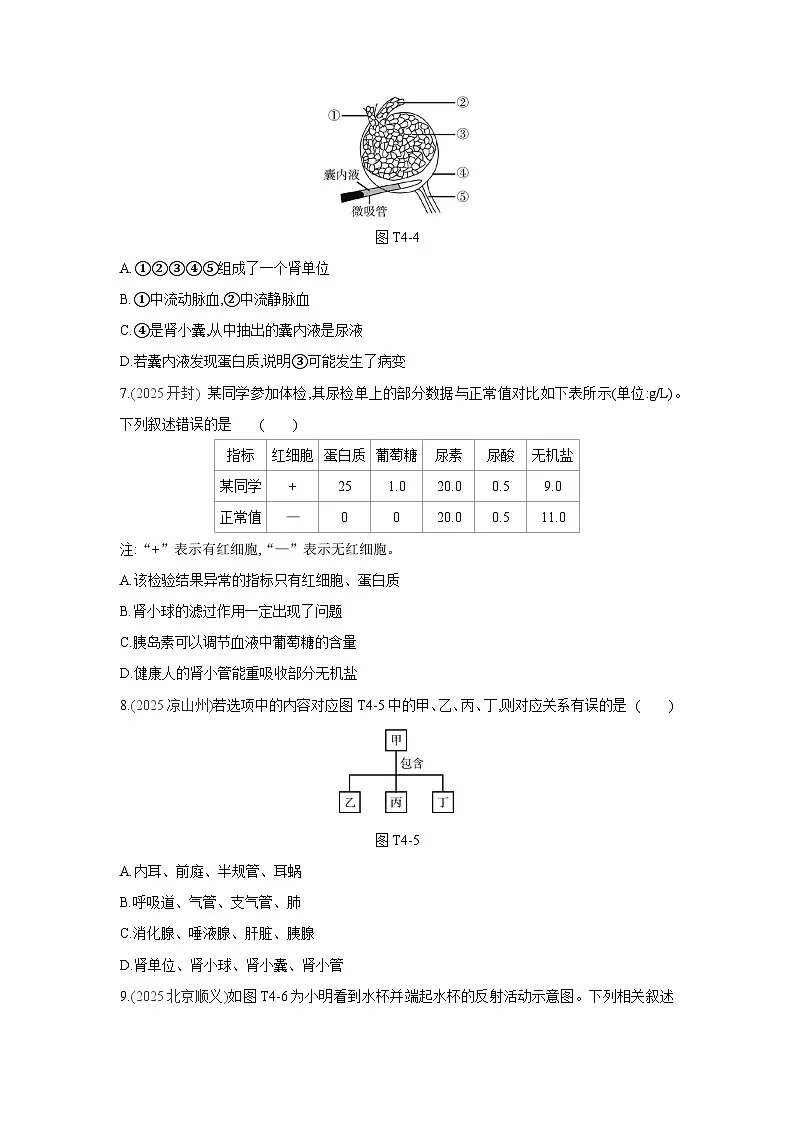2026年福建省中考生物学一轮复习专题练习：人体生理与健康第3页