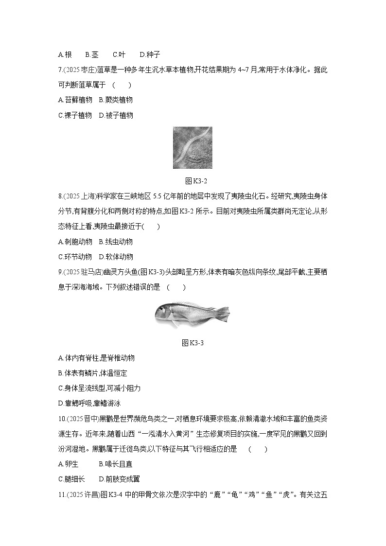 2026年福建省中考生物学一轮复习专题练习：生物的分类及其主要类群第2页