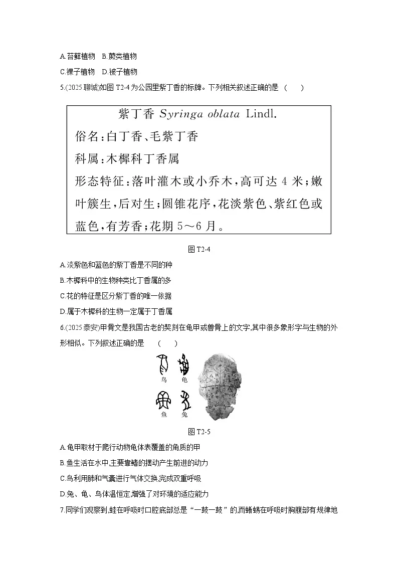 2026年福建省中考生物学一轮复习专题练习：生物的多样性第2页