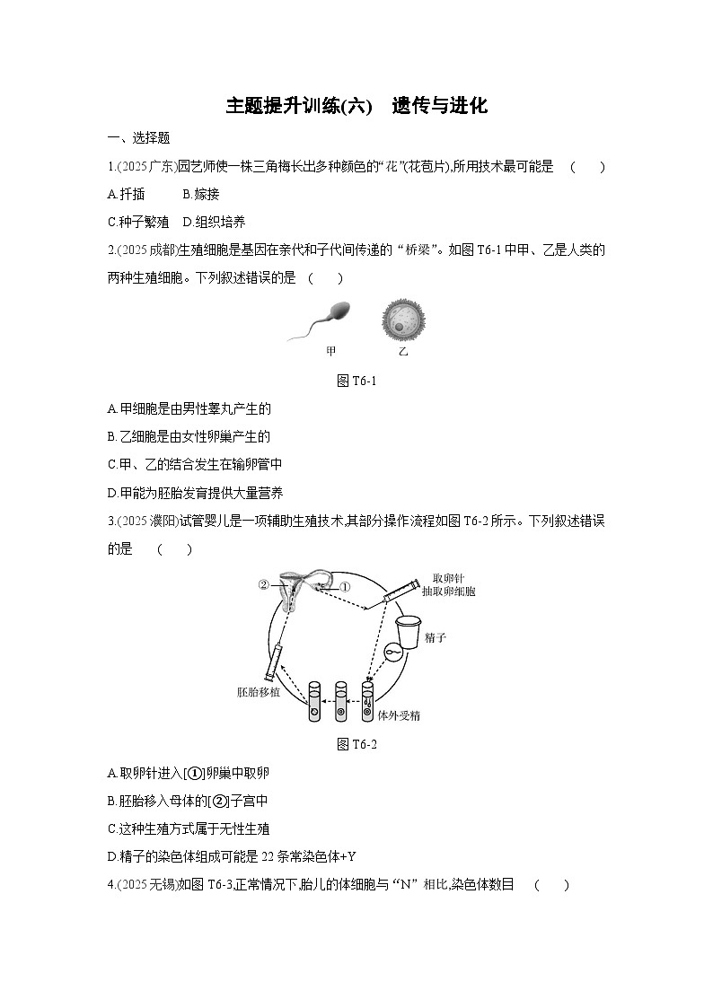 2026年福建省中考生物学一轮复习专题练习：遗传与进化第1页