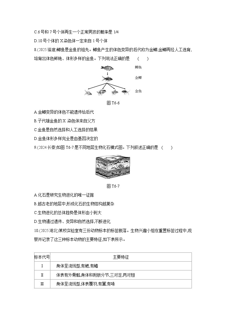 2026年福建省中考生物学一轮复习专题练习：遗传与进化第3页