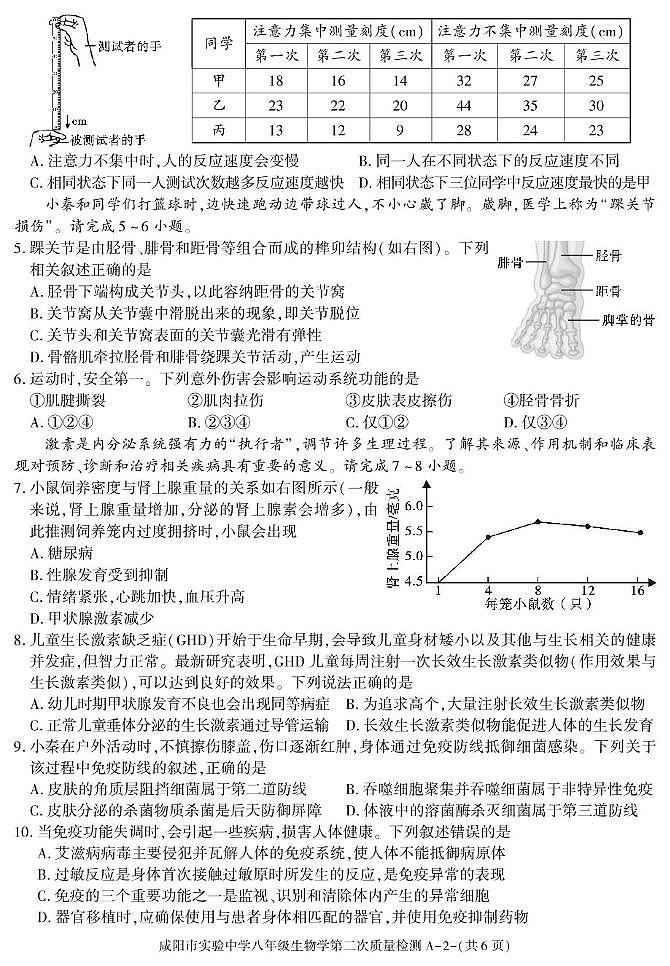 陕西省咸阳市实验中学2025-2026学年八年级上学期第二次质量检测生物试卷（月考）(001)第2页