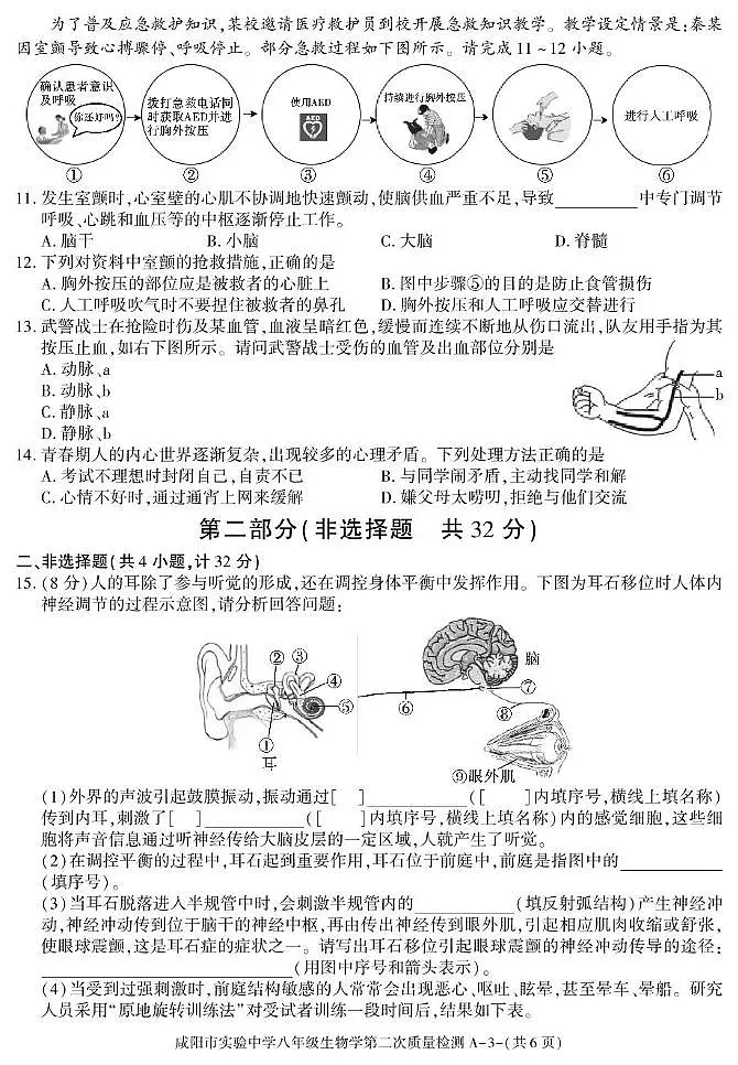 陕西省咸阳市实验中学2025-2026学年八年级上学期第二次质量检测生物试卷（月考）(001)第3页