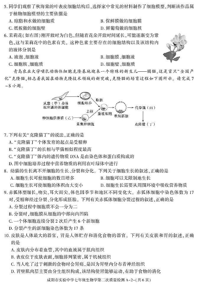 陕西省咸阳市实验中学2025-2026学年七年级上学期第二次质量检测生物试卷（月考）第2页