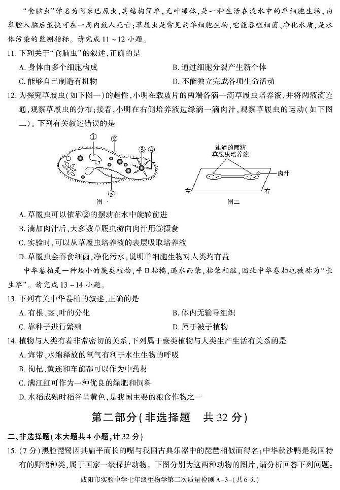 陕西省咸阳市实验中学2025-2026学年七年级上学期第二次质量检测生物试卷（月考）第3页