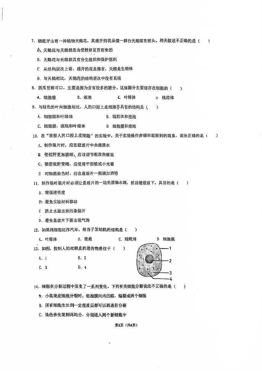 河北省石家庄市第四十二中学2025-2026学年七年级上学期11月期中生物试题第2页