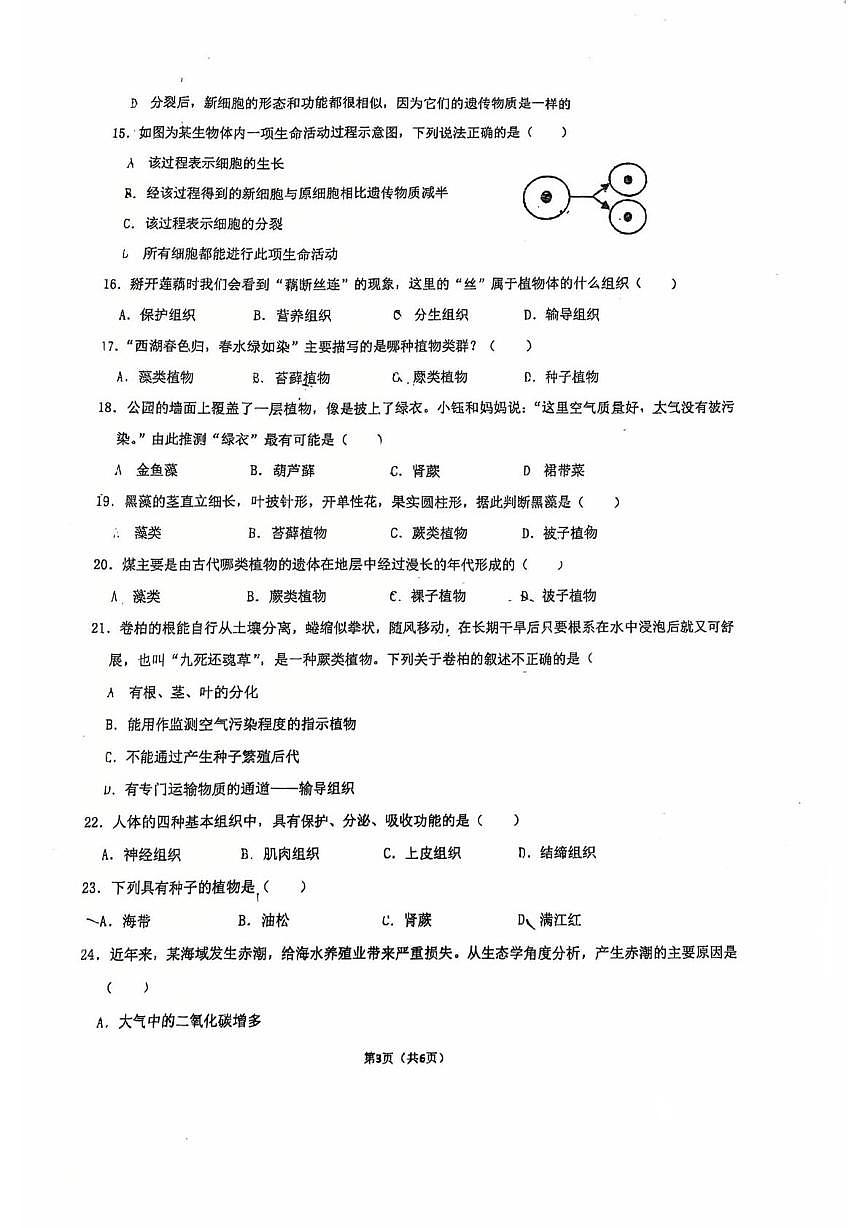 河北省石家庄市第四十二中学2025-2026学年七年级上学期11月期中生物试题第3页