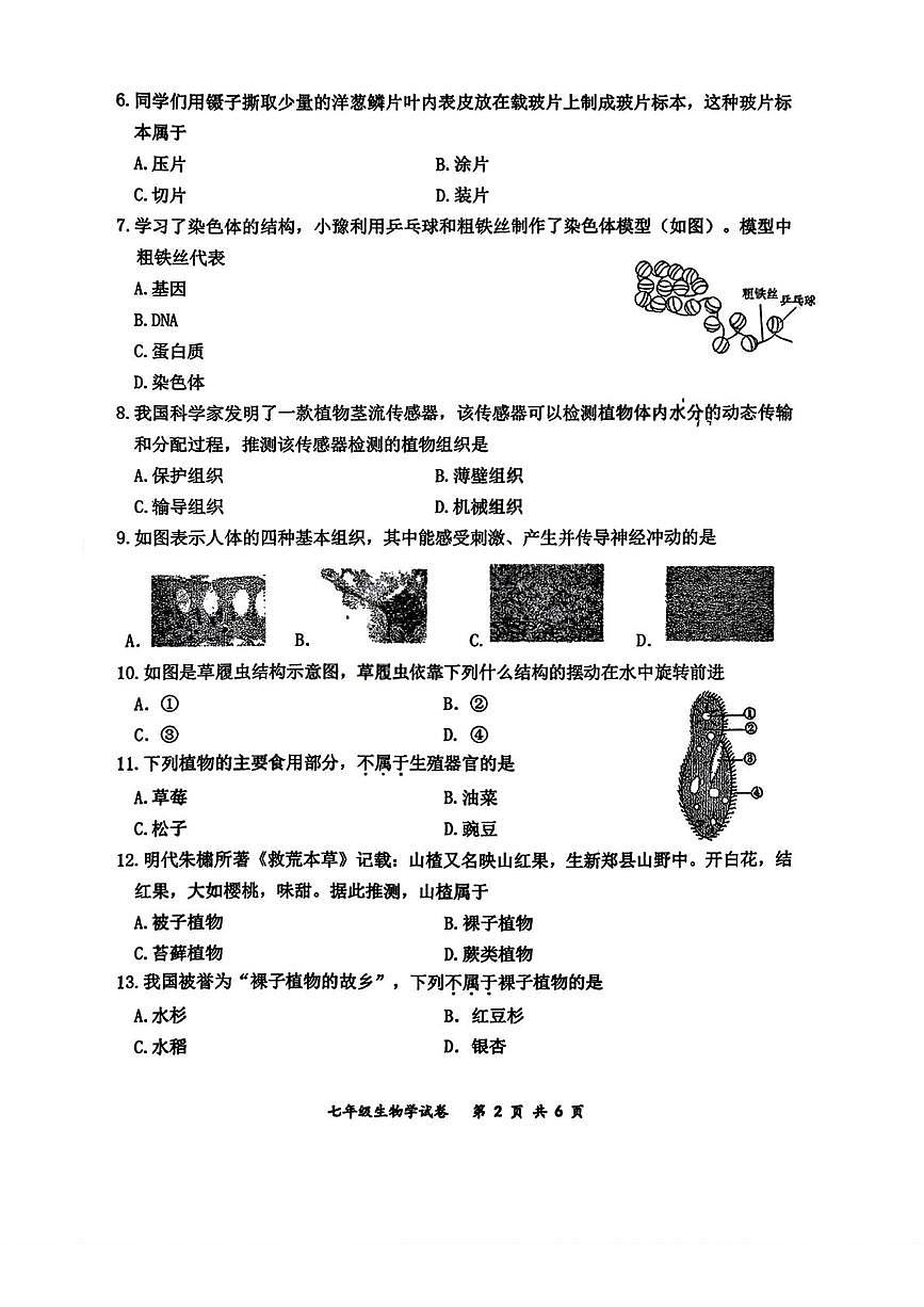 吉林省长春市力旺实验初级中学2025-2026学年七年级上学期11月期中生物试题第2页