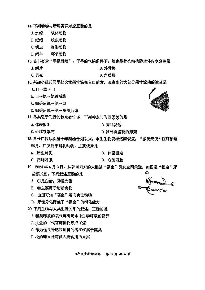 吉林省长春市力旺实验初级中学2025-2026学年七年级上学期11月期中生物试题第3页
