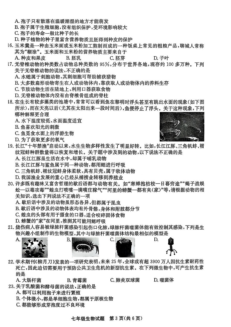 山东省聊城市高唐县2024-2025学年七年级上学期1月期末生物试题第3页