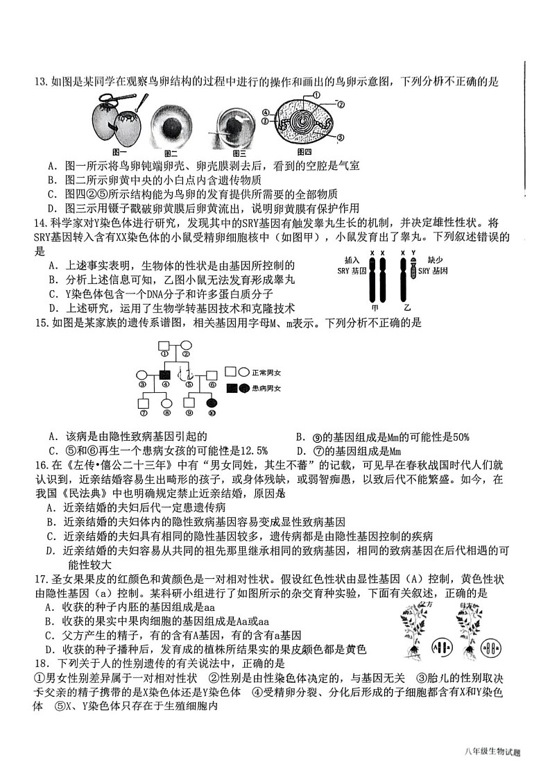 山东省临沂市蒙阴县2024-2025学年八年级上学期1月期末生物试题第3页