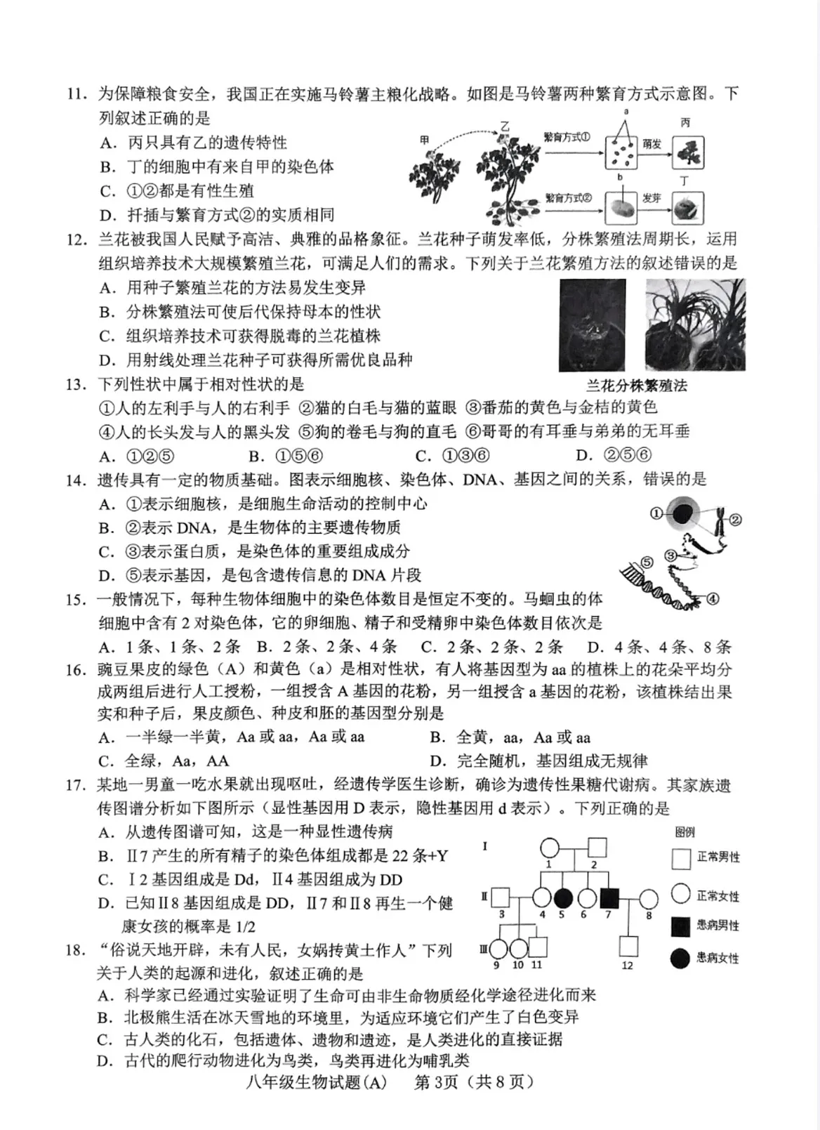 山东省临沂市临沭县2024-2025学年八年级上学期期末阶段检测生物试题第3页