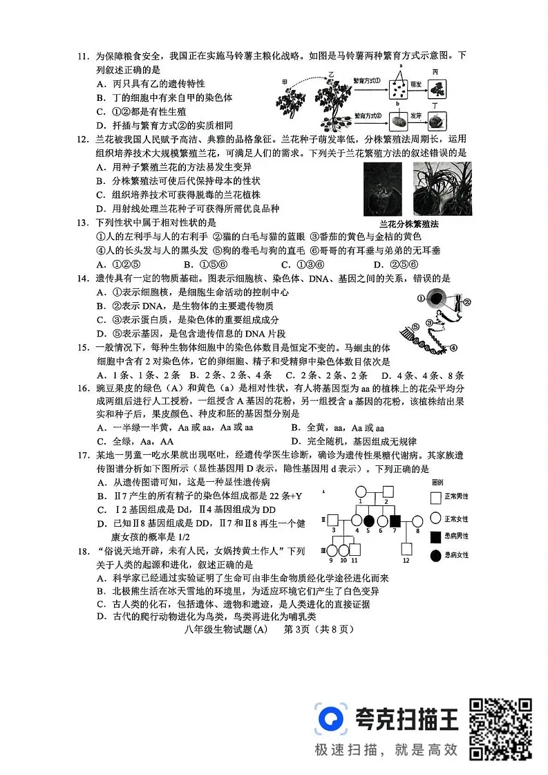 山东省临沂市临沭县2024-2025学年八年级上学期期末生物试题A卷第3页