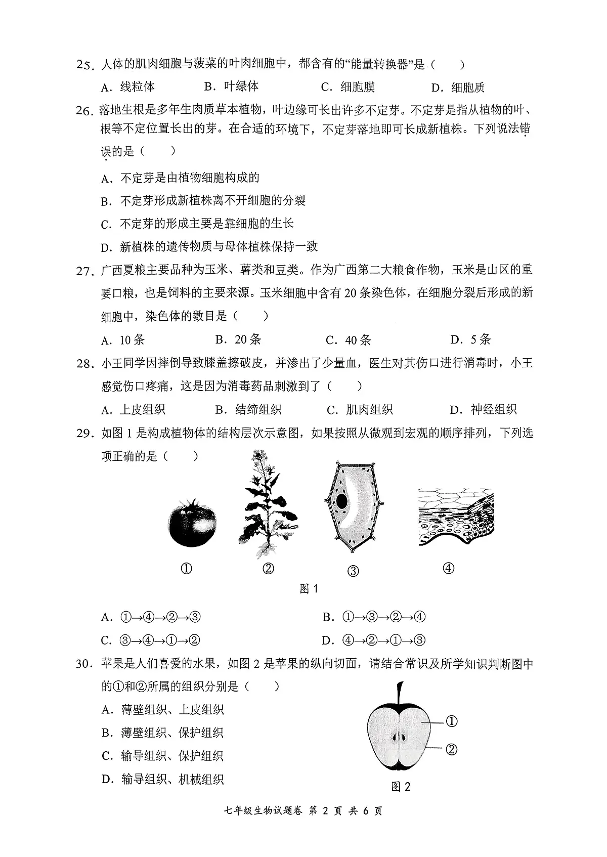 广西梧州市2025--2026学年七年级上学期生物期中试题第2页