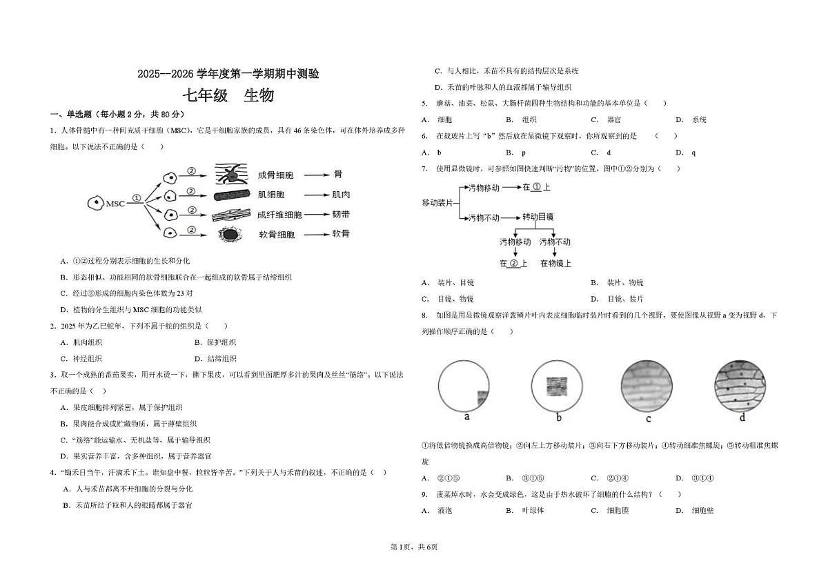 河北省石家庄第三十八中学2025-2026学年七年级上学期期中考生物试卷第1页