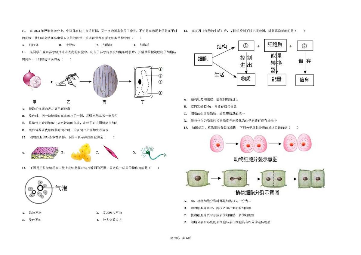 河北省石家庄第三十八中学2025-2026学年七年级上学期期中考生物试卷第2页