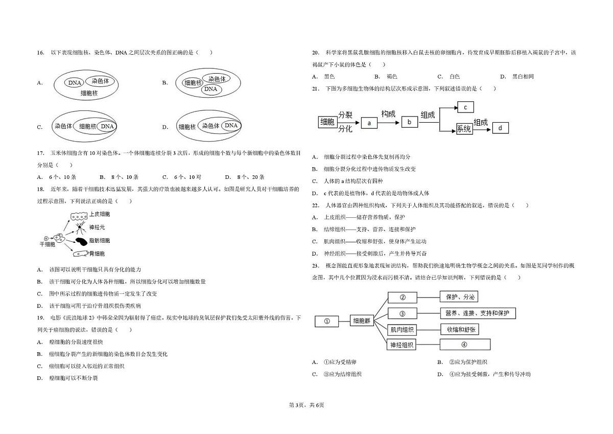 河北省石家庄第三十八中学2025-2026学年七年级上学期期中考生物试卷第3页