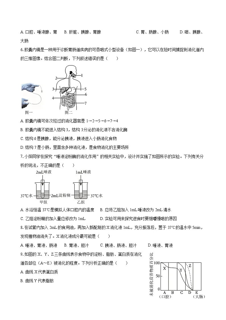 2025-2026学年江苏省徐州市八年级（上）期中生物试卷（B卷）（有答案和解析）第2页