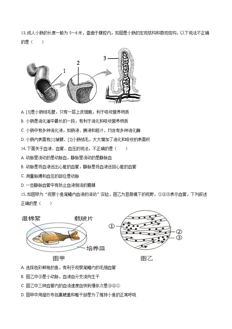 2025-2026学年江苏省徐州市新沂市八年级（上）期中生物试卷（有答案和解析）第3页