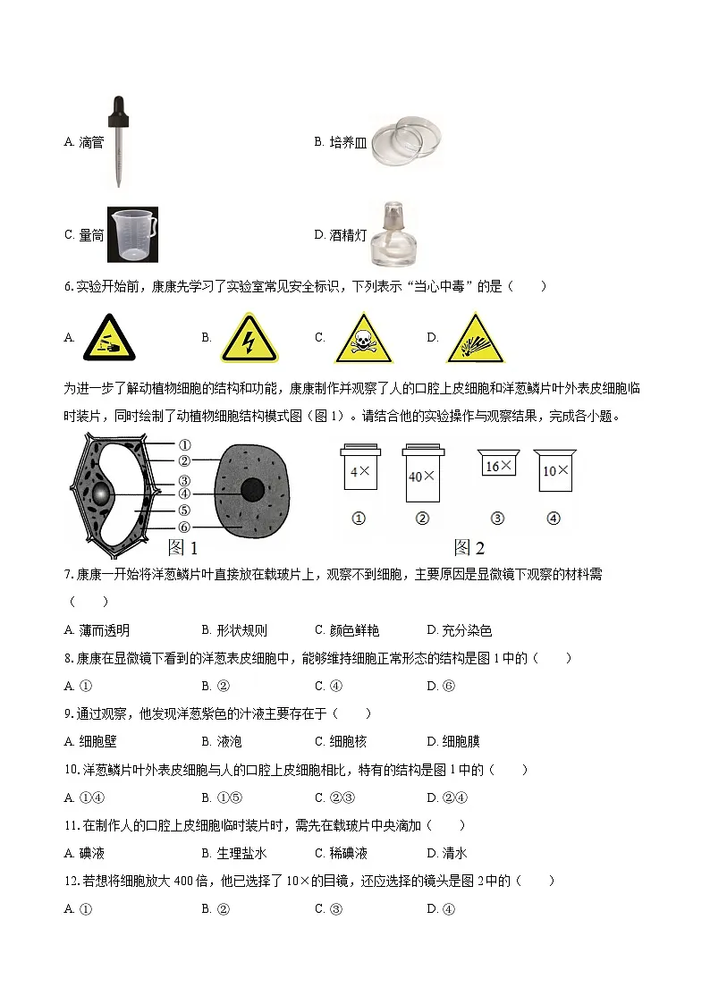 2025-2026学年江苏省盐城市康居路中学教育集团七年级（上）期中生物试卷（有答案和解析）第2页
