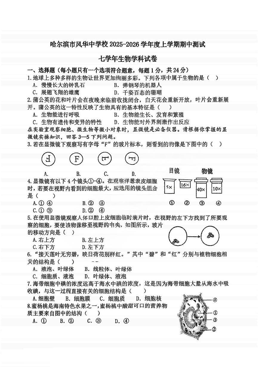 2025年哈尔滨市风华中学七年级上学期期中生物试题及答案第1页