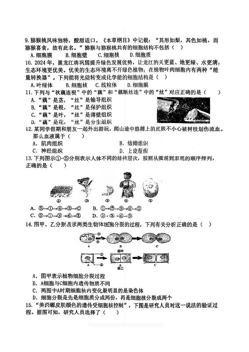 2025年哈尔滨市风华中学七年级上学期期中生物试题及答案第2页