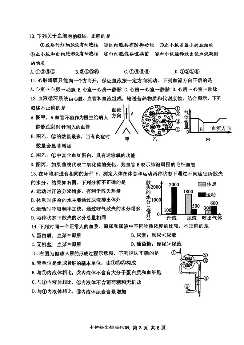 山东省泰安市东平县2024-2025学年七年级上学期期末生物检测题第3页