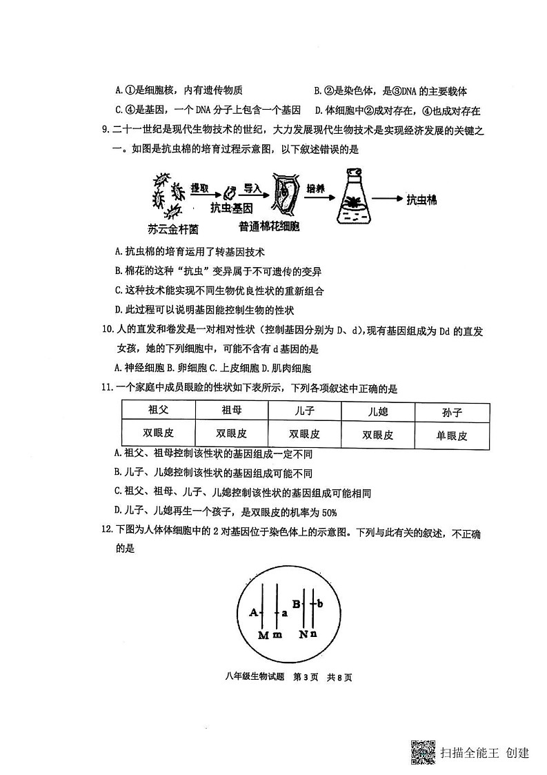 山东省泰安市宁阳县2024-2025学年八年级上学期期末考试生物试题第3页