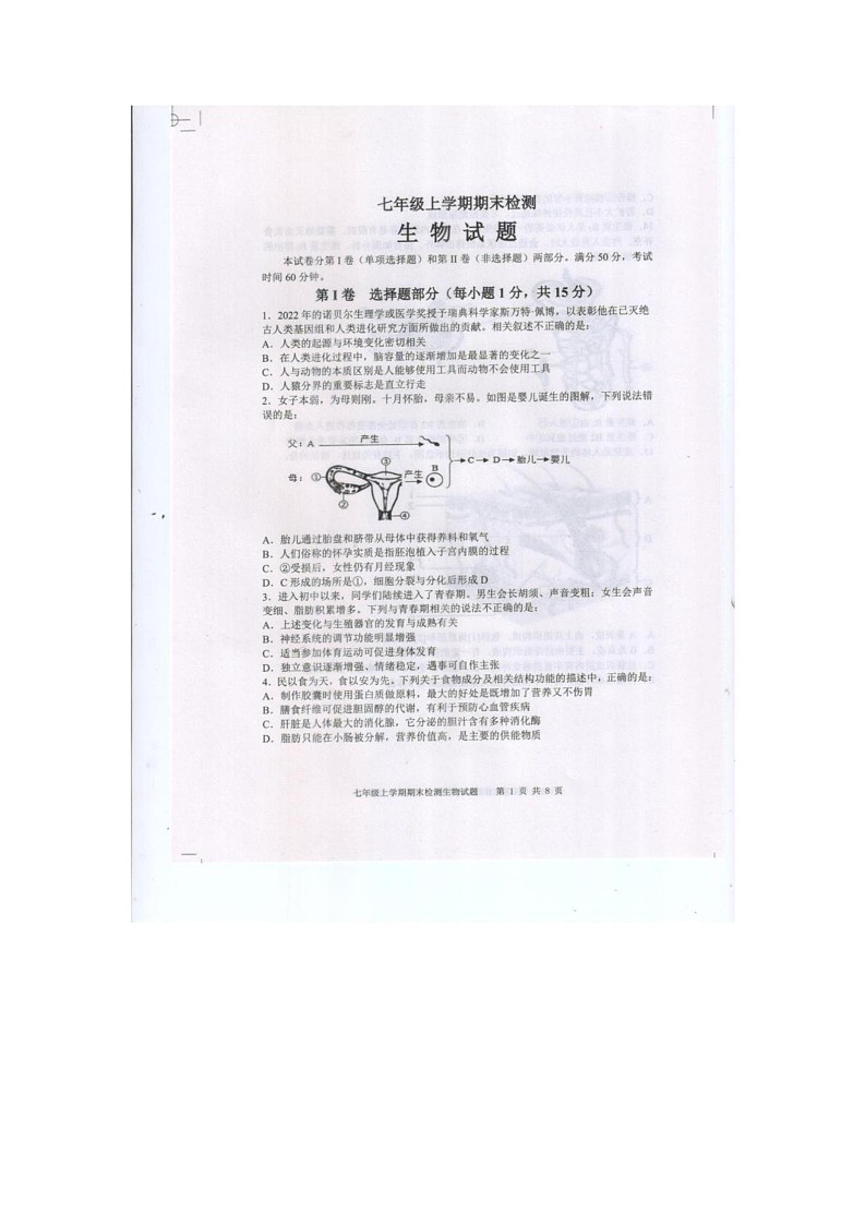 山东省泰安市新泰市2024-2025学年七年级上学期1月期末生物试题第1页