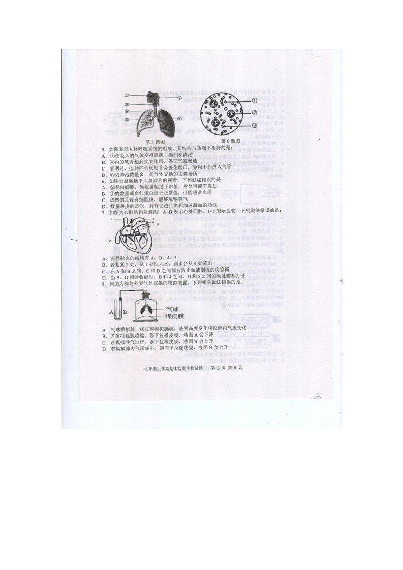 山东省泰安市新泰市2024-2025学年七年级上学期1月期末生物试题第2页