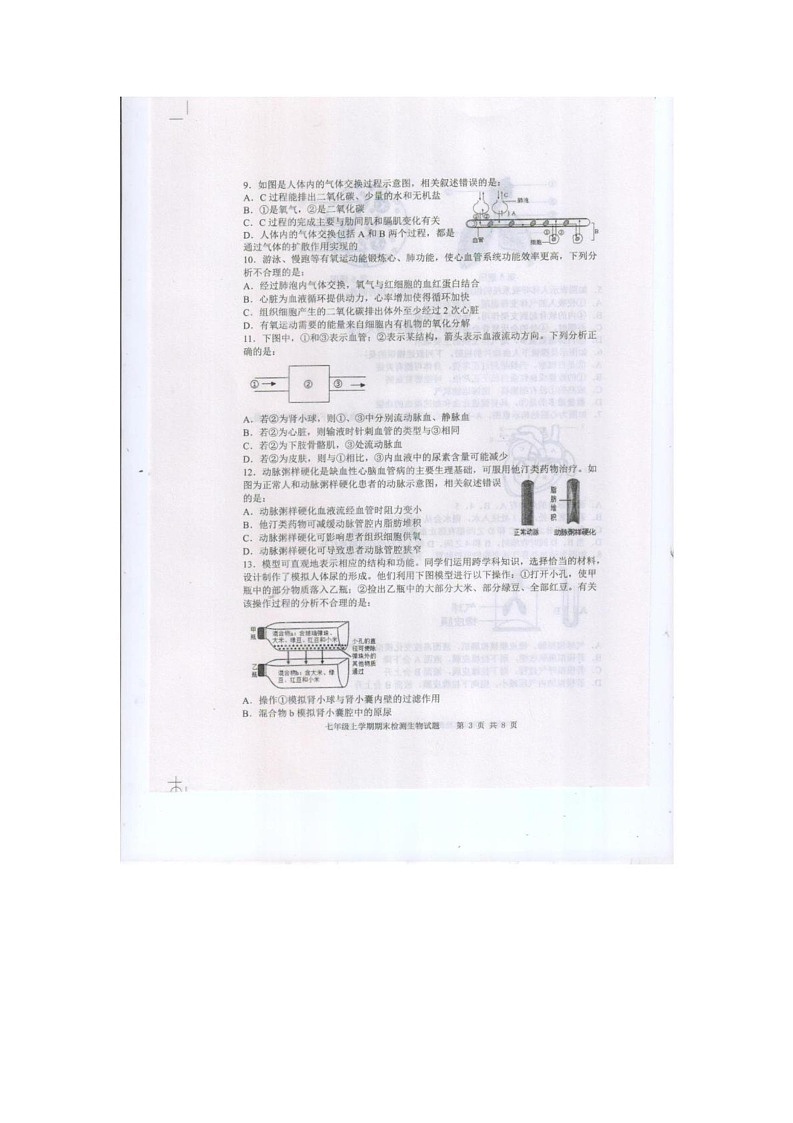 山东省泰安市新泰市2024-2025学年七年级上学期1月期末生物试题第3页